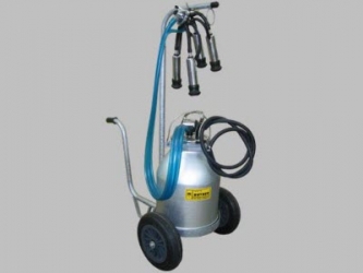 STZER 05-005